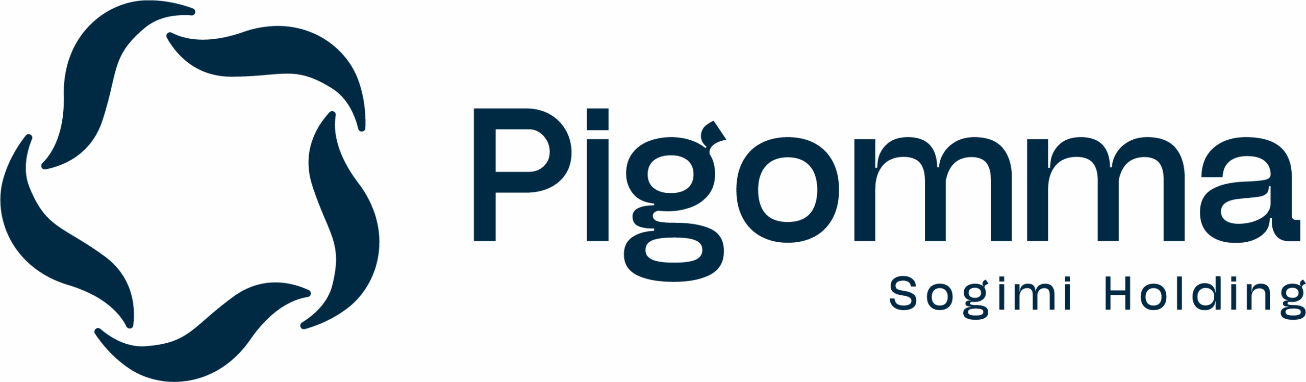 Logo-Pigomma_TypeHolding-ColorDefault-scaled